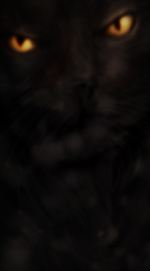 Cat's Power — Ordinary